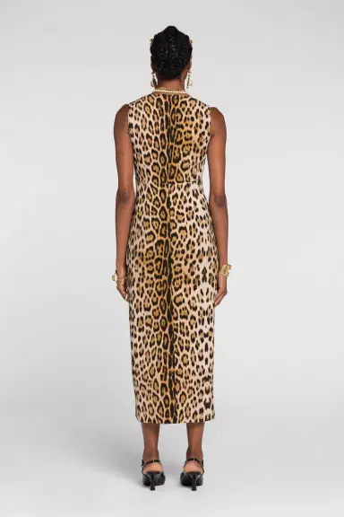 Roberto Cavalli Jaguar-Print Dress | Thumbnail 3