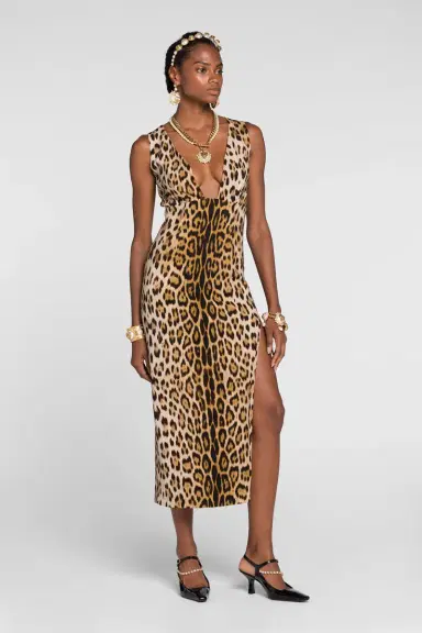 Roberto Cavalli Jaguar-Print Dress | Thumbnail 4
