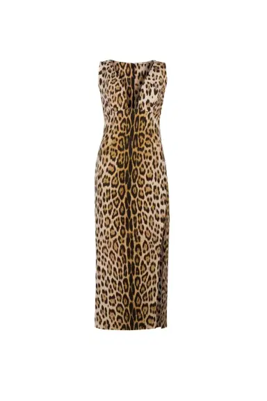 Roberto Cavalli Jaguar-Print Dress | Thumbnail 1