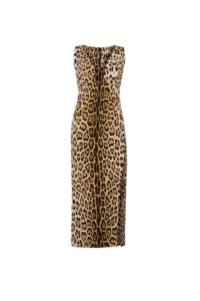 Roberto Cavalli Jaguar-Print Dress