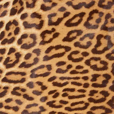 Roberto Cavalli Leather Miniskirt With Leopard Skin Print | Thumbnail 4
