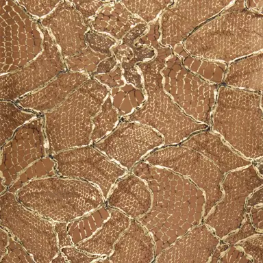 Roberto Cavalli Black and Gold See-Through Mini Dress with Embroidery | Thumbnail 4