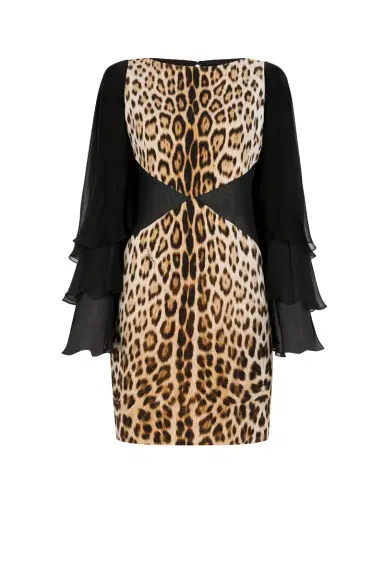 Roberto Cavalli Leopard-Print Mini Dress | Thumbnail 1