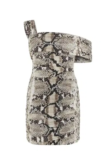 Roberto Cavalli Mini Dress With Python Print | Thumbnail 1