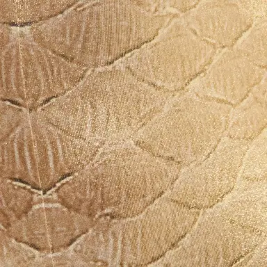 Roberto Cavalli Golden Beige Bodysuit with Serpentine Print | Thumbnail 4