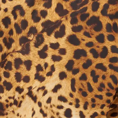 Roberto Cavalli Swimsuit with Cavalli Pop Print | Thumbnail 4