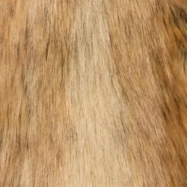 Roberto Cavalli Brown faux fur coat | Thumbnail 4
