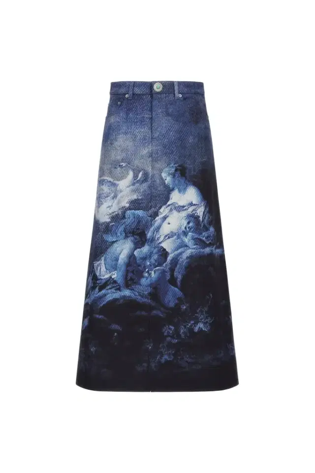 Roberto Cavalli Skirt with Denim Wild Leda print