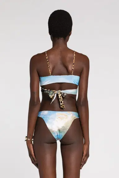 Roberto Cavalli Reversible bikini bottoms | Thumbnail 4