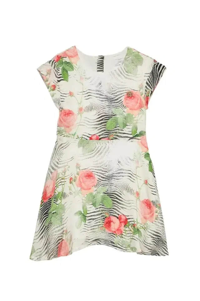 Roberto Cavalli Dress With Mini Zebra And Rose Print