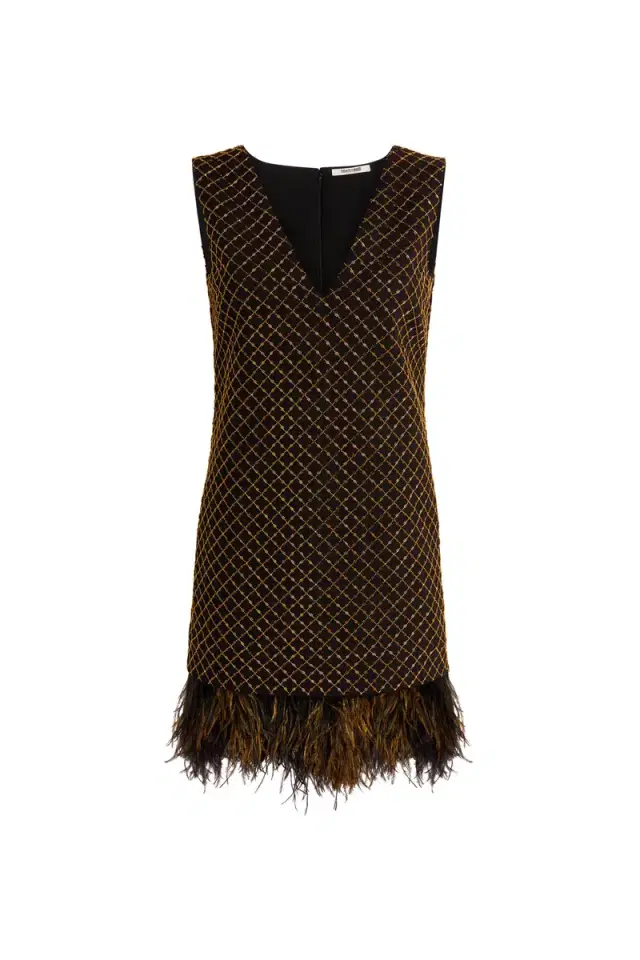Roberto Cavalli Geometric grid-embroidered minidress
