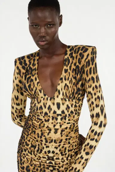 Roberto Cavalli Midi Dress With Jaguar Skin Print | Thumbnail 5
