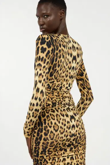 Roberto Cavalli Midi Dress With Jaguar Skin Print | Thumbnail 6