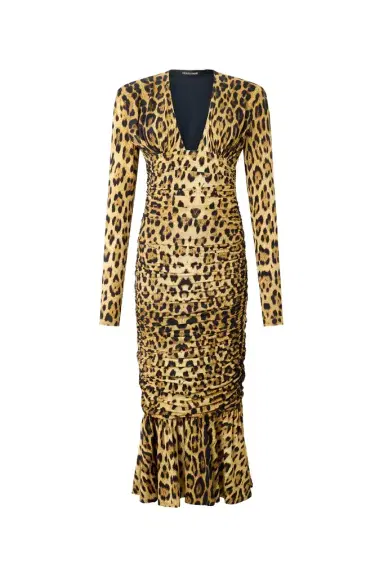 Roberto Cavalli Midi Dress With Jaguar Skin Print | Thumbnail 1