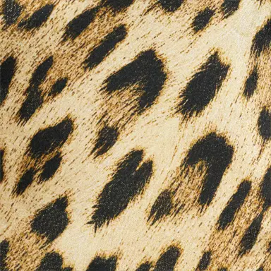 Roberto Cavalli Leopard Print Palazzo Pants | Thumbnail 4