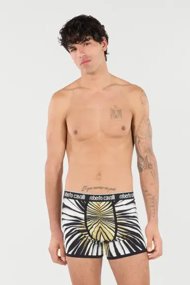 Roberto Cavalli Boxers With Ray Of Gold Print | Thumbnail 2