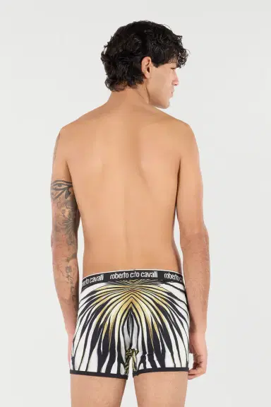 Roberto Cavalli Boxers With Ray Of Gold Print | Thumbnail 3