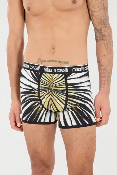 Roberto Cavalli Boxers With Ray Of Gold Print | Thumbnail 5