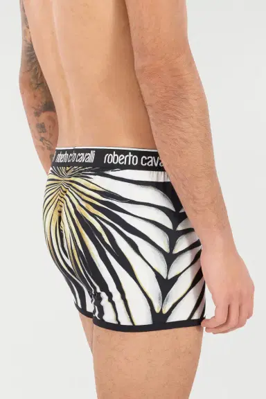 Roberto Cavalli Boxers With Ray Of Gold Print | Thumbnail 6