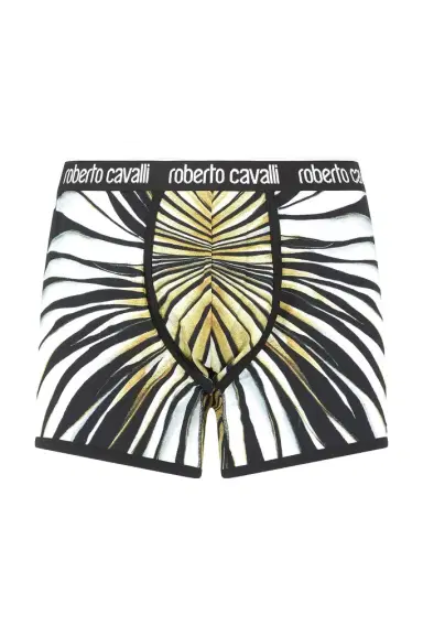 Roberto Cavalli Boxers With Ray Of Gold Print | Thumbnail 1