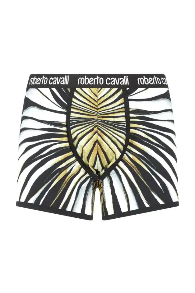 Boxers With Ray Of Gold Print