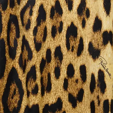 Roberto Cavalli Silk Shirt With Jaguar Skin Print | Thumbnail 4