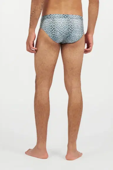 Roberto Cavalli Baby Jaguar Print Swim Briefs | Thumbnail 3