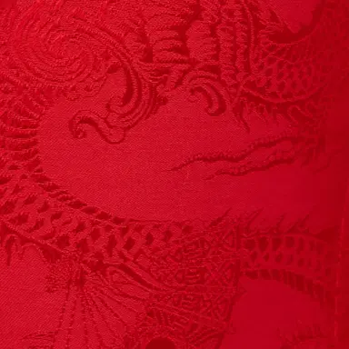 Roberto Cavalli Dark Red Jacket with Dragon Motif | Thumbnail 4