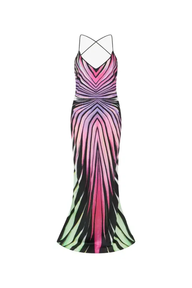 Roberto Cavalli Ray Of Paradise Print Silk Slip Dress