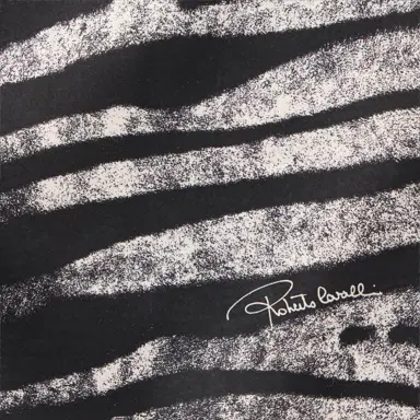 Roberto Cavalli Silk Scarf With Zebra Print | Thumbnail 2 Roberto Cavalli Silk Scarf With Zebra Print | Thumbnail 2