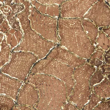Roberto Cavalli Black and Gold See-Through Shirt with Embroidery | Thumbnail 4 Roberto Cavalli Black and Gold See-Through Shirt with Embroidery | Thumbnail 4