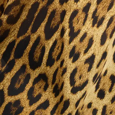 Roberto Cavalli Roberto Cavalli Leopard Print Lace Slip Dress | Thumbnail 4