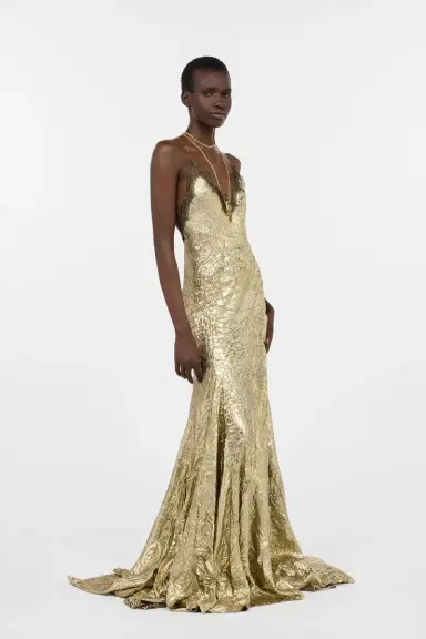 Roberto Cavalli Gold Maxi Dress in Craquelé Silk Blend | Thumbnail 2