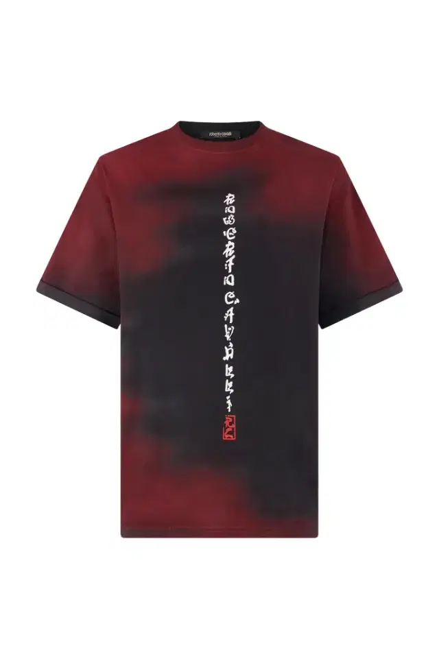 Roberto Cavalli Mottled Effect T-Shirt With Dragons And Logo