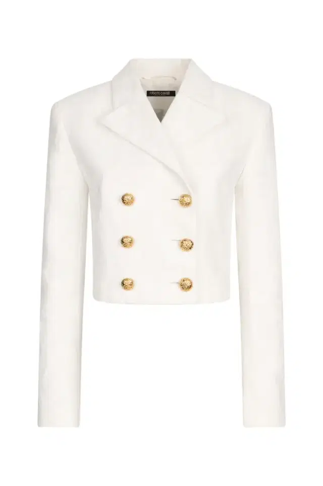 Roberto Cavalli Wall Print Cropped Jacket