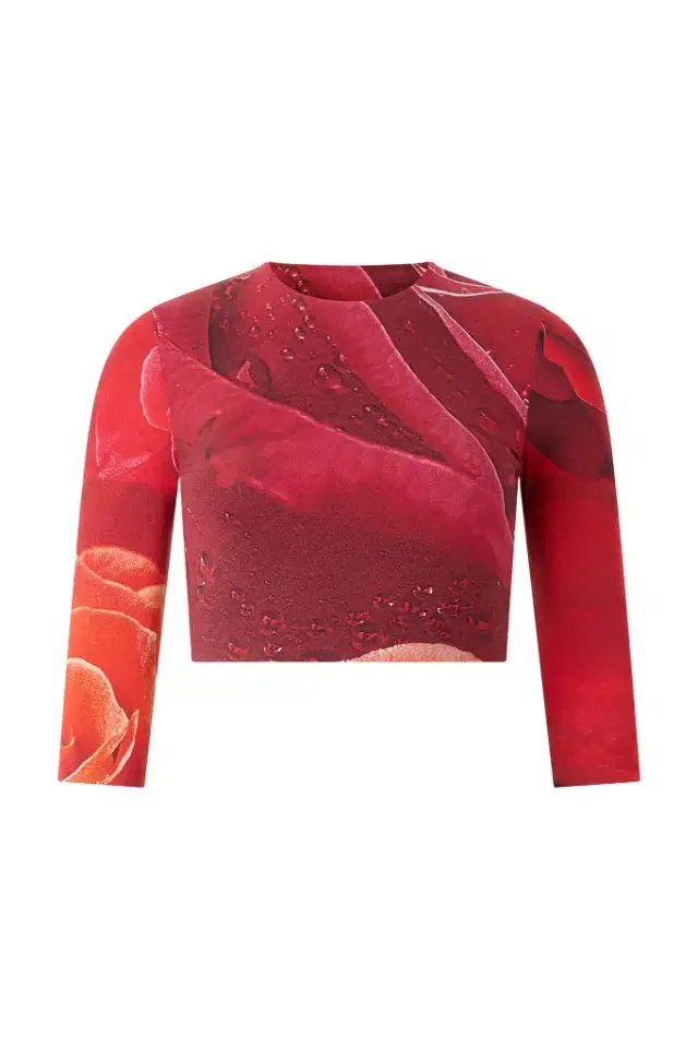 Roberto Cavalli Rose-Print Crop Top