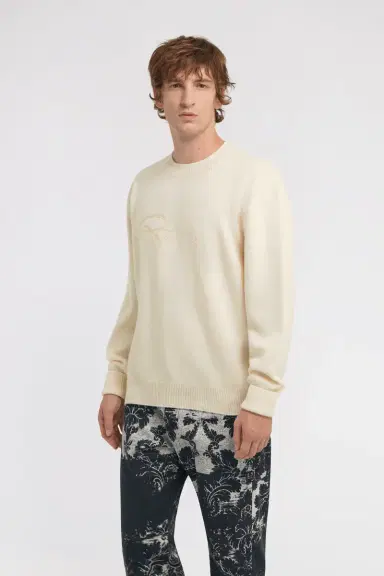 Roberto Cavalli Logo Sweatshirt | Thumbnail 4