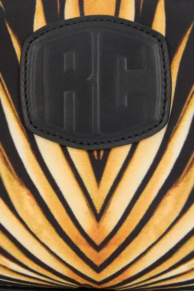 Roberto Cavalli Camera Bag With Ray Of Gold Print | Thumbnail 3
