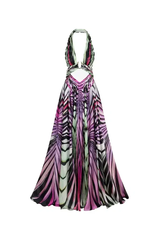 Ray of Paradise Print Silk Maxi Dress