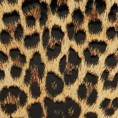 Roberto Cavalli Leopard Print Roar Clutch Bag | Thumbnail 4