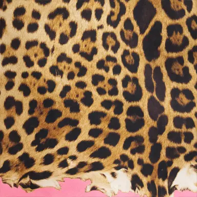 Roberto Cavalli Silk Shirt with Cavalli Pop Print | Thumbnail 4