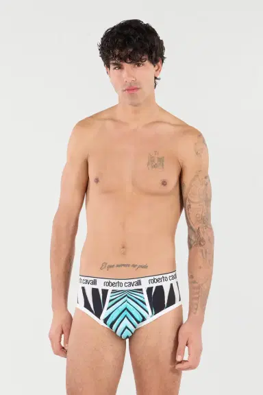 Roberto Cavalli Briefs With Ray Of Sea Print | Thumbnail 2