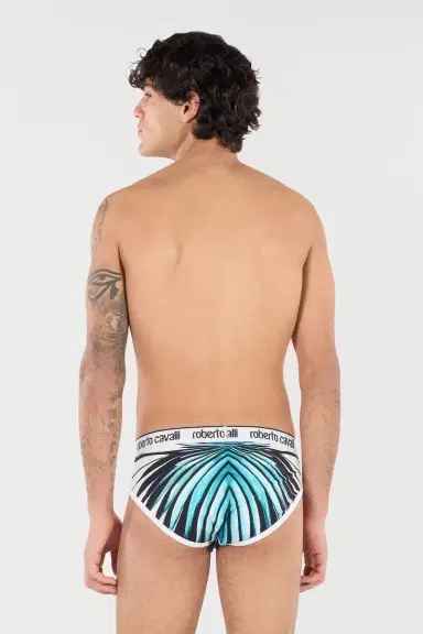 Roberto Cavalli Briefs With Ray Of Sea Print | Thumbnail 3