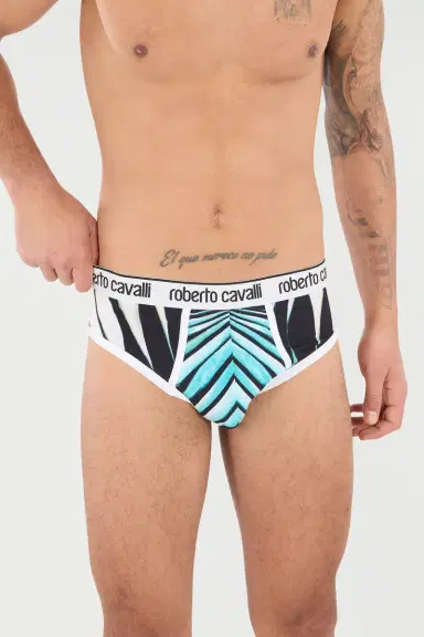 Roberto Cavalli Briefs With Ray Of Sea Print | Thumbnail 5