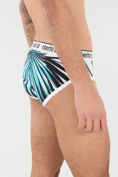 Roberto Cavalli Briefs With Ray Of Sea Print | Thumbnail 6