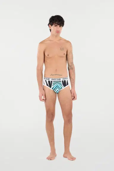 Roberto Cavalli Briefs With Ray Of Sea Print | Thumbnail 7