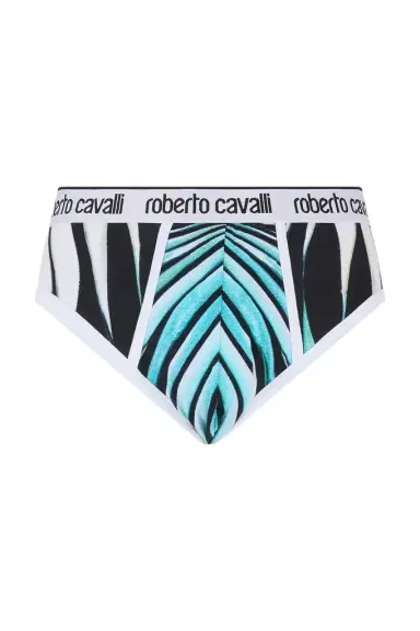 Roberto Cavalli Briefs With Ray Of Sea Print | Thumbnail 1