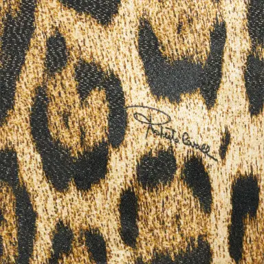 Roberto Cavalli Silk Shirt with Jaguar Print | Thumbnail 4 Roberto Cavalli Silk Shirt with Jaguar Print | Thumbnail 4