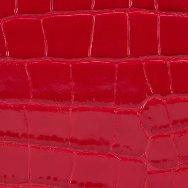 Roberto Cavalli Roar Leather Pouch | Thumbnail 4