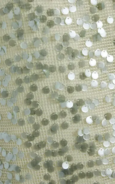 SIMKHAI Davina Sequined Mini Dress | Thumbnail 5 SIMKHAI Davina Sequined Mini Dress | Thumbnail 5